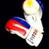 Boxing Gloves - Fit dxb professional 16 WhatsApp Image 2025 02 09 at 6.24.51 PM