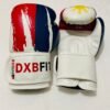 Boxing Gloves - Fit dxb professional 18 WhatsApp Image 2025 12 09 at 6.24.49 PM
