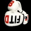 Boxing Gloves - Fit dxb professional 19 WhatsApp Image 2025 12 09 at 6.24.51 PM