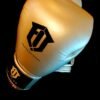 Boxing Gloves - Fit dxb professional 21 WhatsApp Image 2025 12 09 at 6.24.54 PM